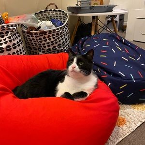 Meet your Posher, Karen